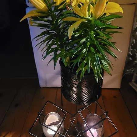 Lilla Apartment