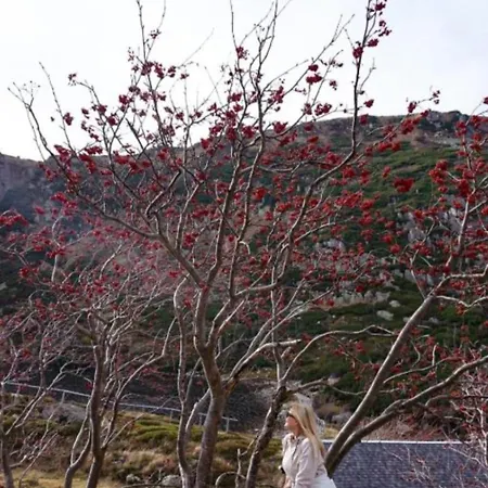 Lilla Lägenhet Jelenia Góra