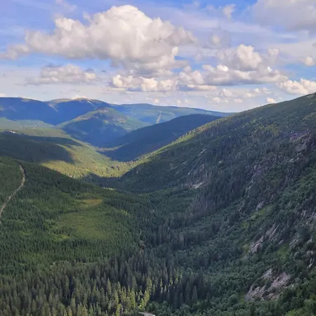 Lilla * Jelenia Góra