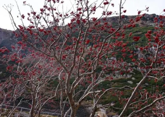 Lilla Apartment Jelenia Gora